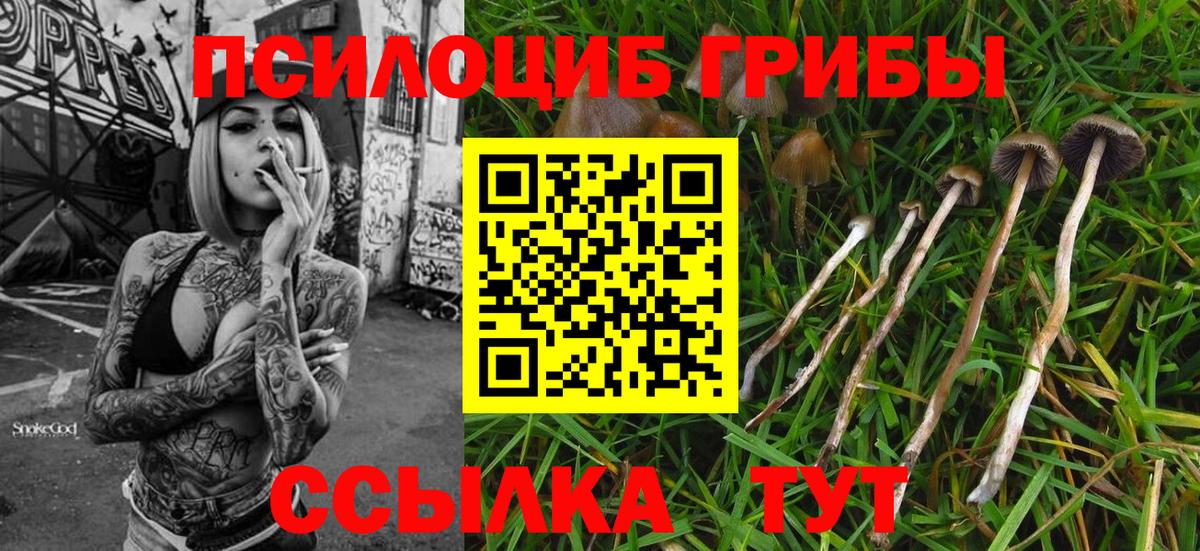 Псилоцибиновые грибы прущие грибы  Вход с VPN  Карачаевск  Галлюциногенные грибы мицелий 
